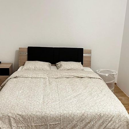 דירות ז'נבה Quartier De Plainpalais מראה חיצוני תמונה
